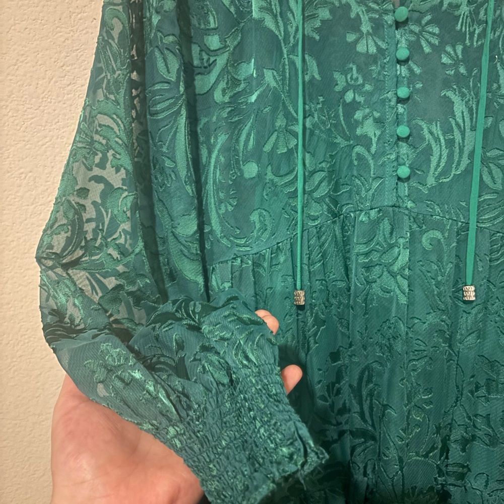 The Marais Maxi Dress: Satin-Burnout Edition Medium Petite - Picture 6 of 10